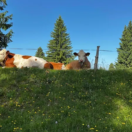 מלון Monte Coston Lastebasse